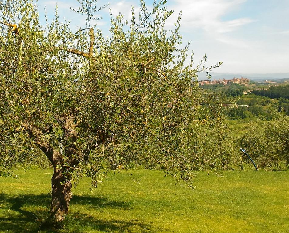 Capanna 1826 Βίλα Σαν Τζιμινιάνο Εξωτερικό φωτογραφία
